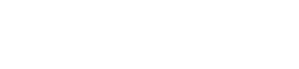 Braintree Logo